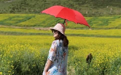 欧洲 亚洲 国产图片综合